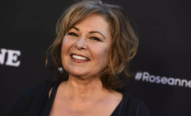 Roseanne Barr. Photo: Jordan Strauss / Invision / AP