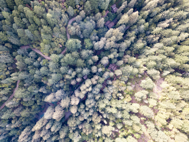 Aerial view of Bohemian Grove. Photo: Brianhama, CC BY-SA 4.0, Wikimedia Commons
