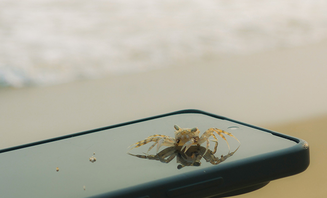 Photo: Unsplash