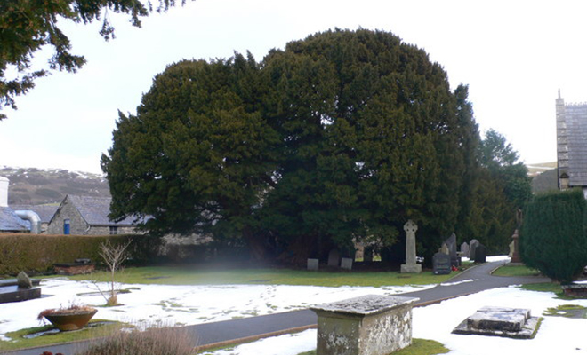 Photo: Eirian Evans, CC BY-SA 2.0, Wikipedia