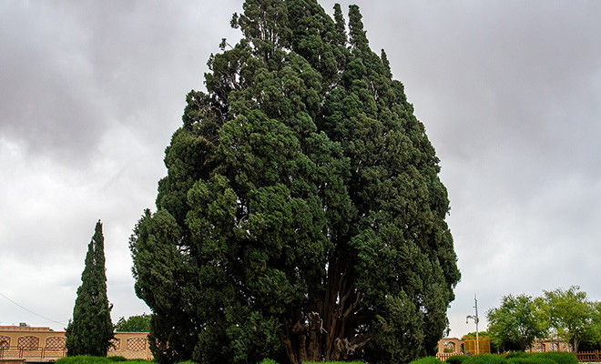 Photo: By SJabberwocky - Own work, CC BY 4.0, Wikipedia