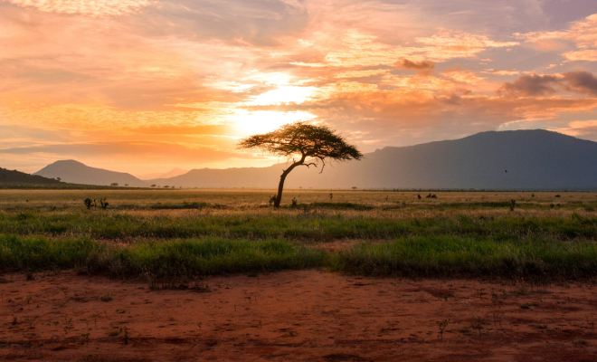 Photo: Unsplash