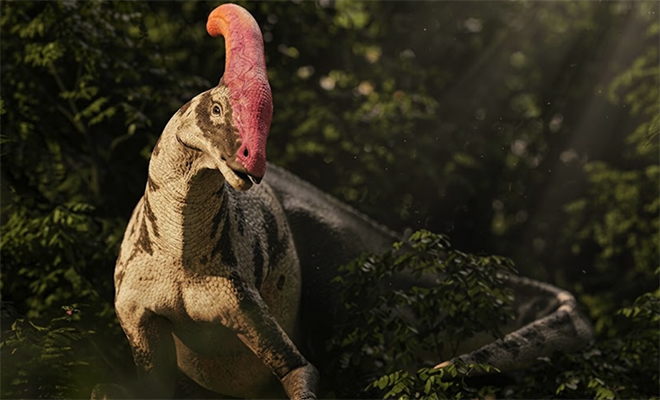 Photo: AI-generated