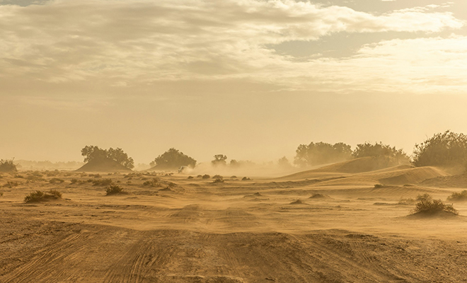 Photo: Unsplash