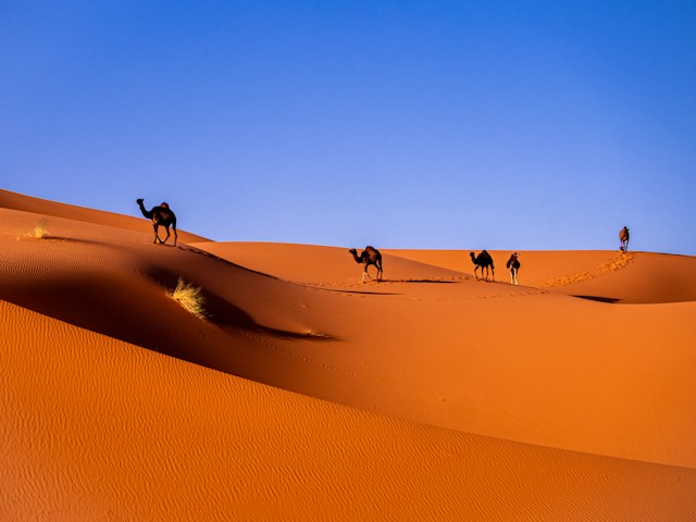 Photo: Unsplash