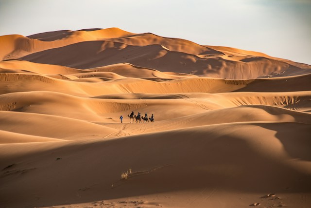 Photo: Unsplash